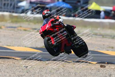 media/Apr-13-2024-SoCal Trackdays (Sat) [[f1617382bd]]/7-Turn 2 (1125am)/